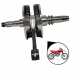 Virabrequim Completo Biela Honda Crf230 Modelo Original